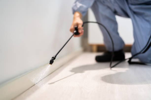 Licensed Mosquito Control service in Checotah, OK - Nex Pest Control