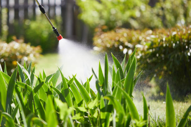 24/7 Emergency Mosquito Control experts in Checotah, OK